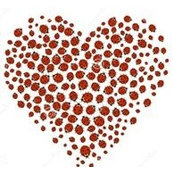 Judy Piro's photo