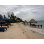 Nathalie Olivo-Brady's photo