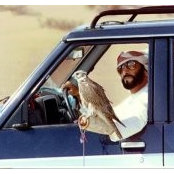Saif Almazroei's photo