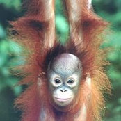 Adrian Smith's photo