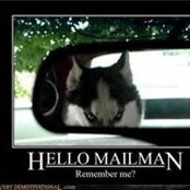 Jason Bozzo's photo