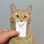 Elizabeth Demro's photo