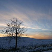 Celeste Page-Underhill's photo
