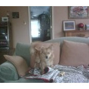 Carrie Harbin's photo