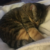 Momy Mimi's photo