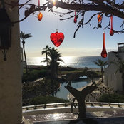 Tracy Herald's photo