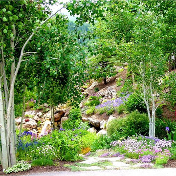 Perennial Plants & Perennial Gardens