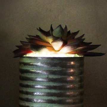Lumiere - Illuminated Succulents, Burgundy Echeveria in Zinc