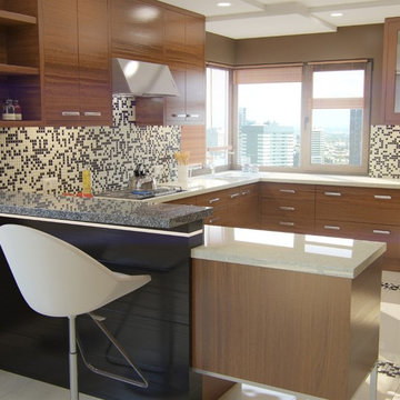 Modular Kitchens