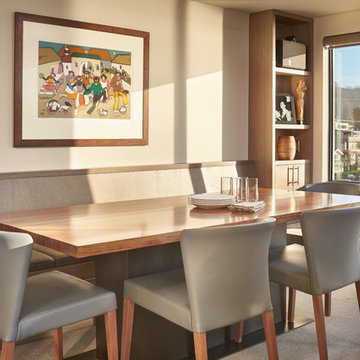 Lake Union Condo