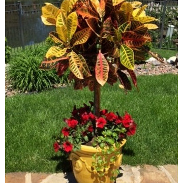 Flower Pots, Hanging Baskets, and Window Boxes