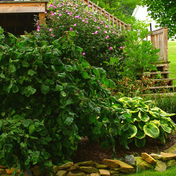 Outdoor Landscape & Botanical Photography