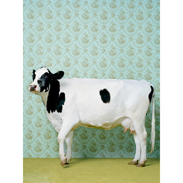 "Holstein Cow" Canvas Wall Art by Catherine Ledner, 10"x14"