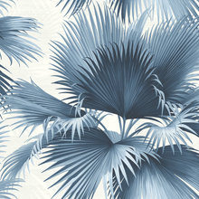 florida