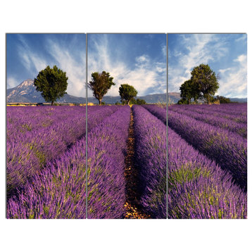 "Lavender Field on Windy Afternoon" Metal Art, 3 Panels, 36"x28"