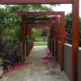 シドニーの春のトロピカルスタイルのおしゃれな前庭 (庭への小道、半日向、コンクリート敷き	) の写真