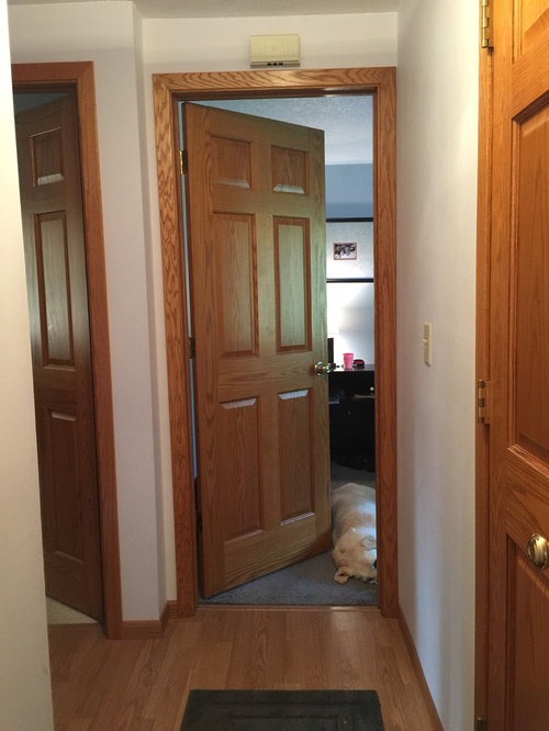 Should I paint the trim and doors??? Advice please!!!!!