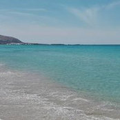 Alessia Betti's photo