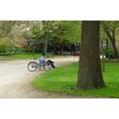 Entung Chang's photo