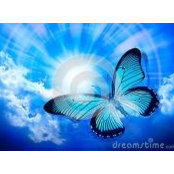 Linda Ball's photo
