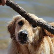Kelly Rummins's photo