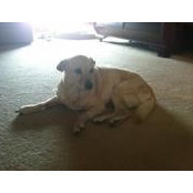 Julia Applebaum's photo
