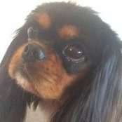 Ellen B Carson's photo