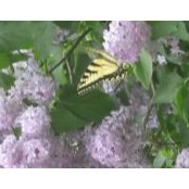 Belinda Richardson's photo