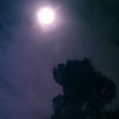Lea Rustom's photo