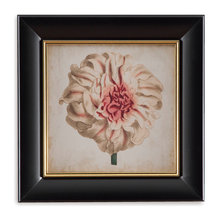 wall decore