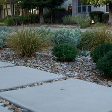 Landscape Ideas