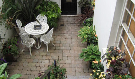 Garden Tour: A Small Courtyard Garden With Year-round Colour