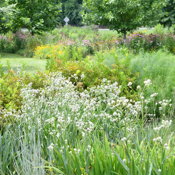 Sequential blooms provide nectar sources spring through fall for pollinators.