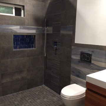 Master Bathroom Remodel