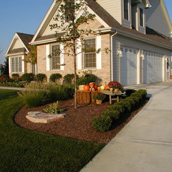 Bushes and Shrubs - Products