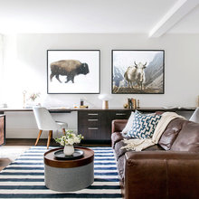 Living Room Ideas