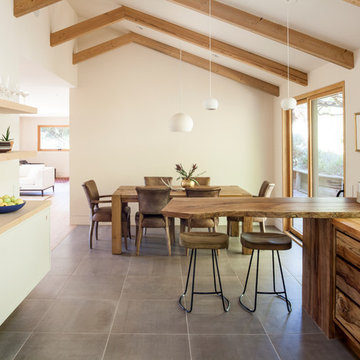 West Marin Organic Remodel