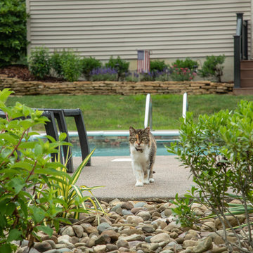 Poolside Patio