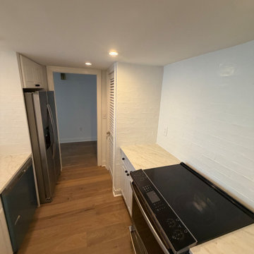 Printers Row Renovation