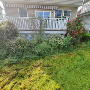 Full Yard Transformation