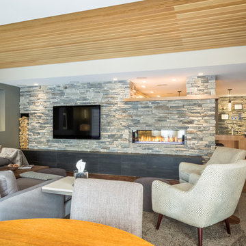 Heat & Glo PRIMO See-Through Gas Fireplace