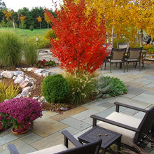 Perennial garden flowers