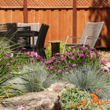 Hidden Garden