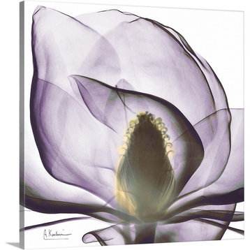 Magnolia x-ray photography Wrapped Canvas Art Print, 12"x12"x1.5"
