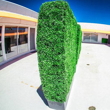 Artificial Hedges for Palm Springs Apartment Complex