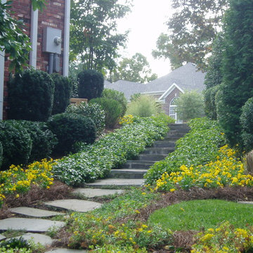 Side Yard Landscaping