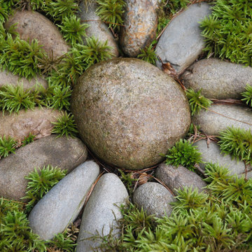 Whimsical Moss Art in Your Landscape