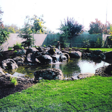 Our Work