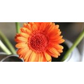 Shelly Smitowski's photo