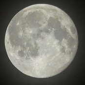 Jacob Bessey's photo
